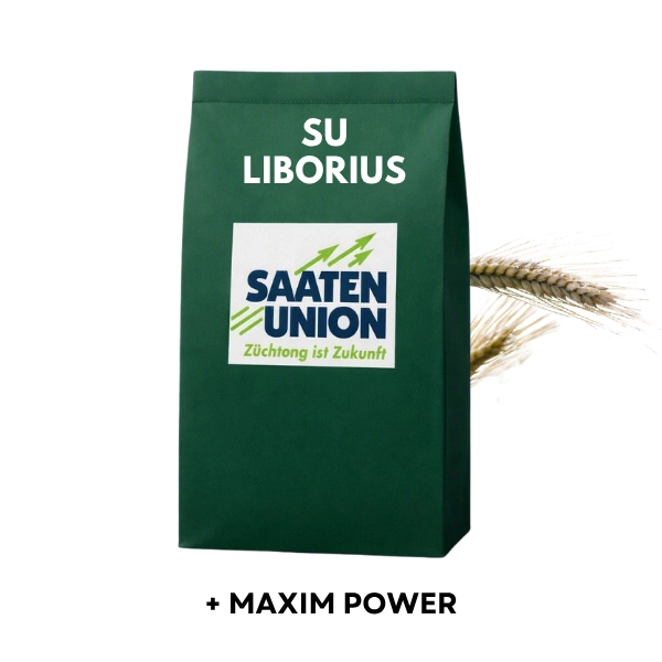 Pszenżyto ozime LIBORIUS C1 zaprawione MAXIM POWER 50 KG